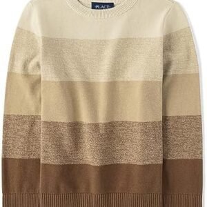 The Children's Place Big Boys' Kid Long Sleeve Sweater